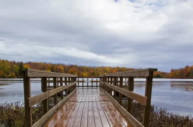 dock, pond, water